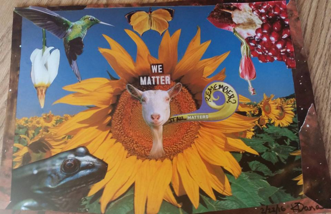 Kollasj. En geit stikker hodet ut av en solsikkeblomst i en åker av solsikker, omringet av en frosk, fugl og sommerfugl. Tekstene «We matter» og «It all matters, remember?» er limt oppå.