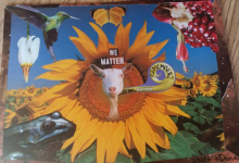 Kollasj. En geit stikker hodet ut av en solsikkeblomst i en åker av solsikker, omringet av en frosk, fugl og sommerfugl. Tekstene «We matter» og «It all matters, remember?» er limt oppå.
